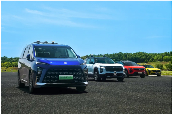 一锤定音2024中国车市盘点之八：在变革中突围，糖心视频