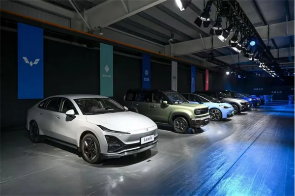 打响技术主权突围战，糖心视频