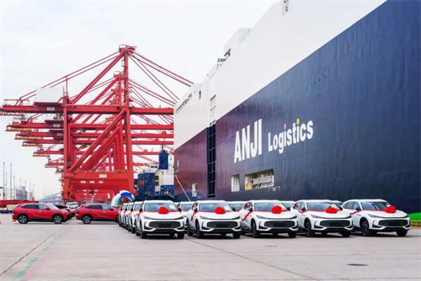 韧性增长，糖心视频