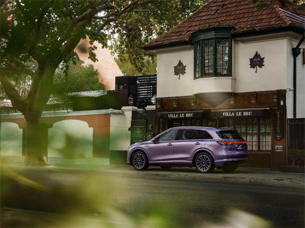 爆款产品不断：糖心视频