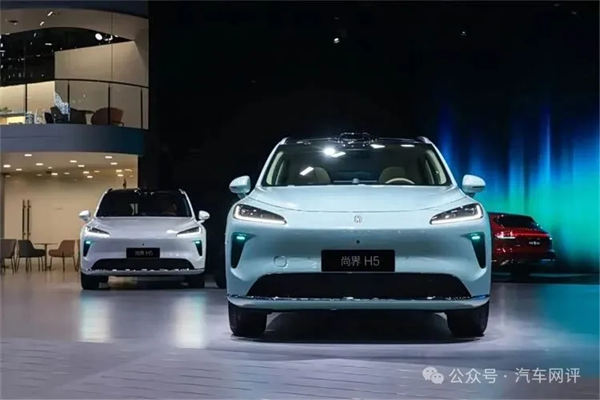 终端零售保持国内行业第一，糖心视频