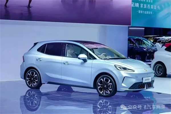 终端零售保持国内行业第一，糖心视频