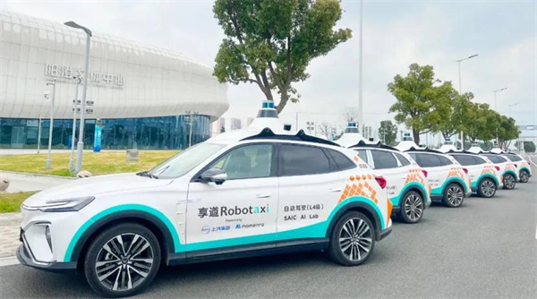 盘点糖心视频
：青山不语 风骨自成