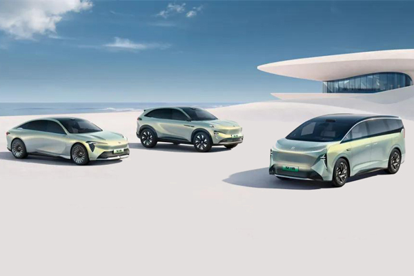 盘点糖心视频
：青山不语 风骨自成