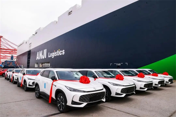 当技术开花、改革结果：上汽的“硬核反攻”